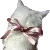 🎀