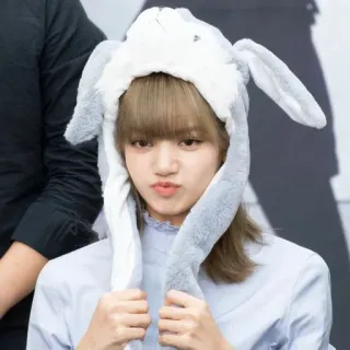 🐬 femme, chapeau, asiatique, lapin, mignon, coréen, mode telegram sticker