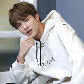 🎭 ANOTHER pria, hoodie, kpop, idola, potret, korea telegram sticker