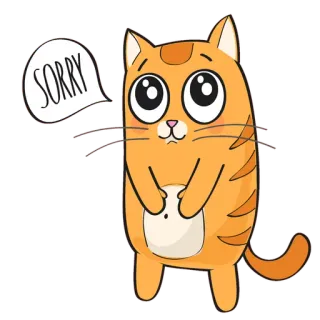 🐱 SORRY chat, désolé(e), excuse, mignon, dessin animé, orange, félin, animal whatsapp sticker