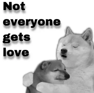 😂 Not everyone gets love doge, meme, triste, perro, amor, internet telegram sticker