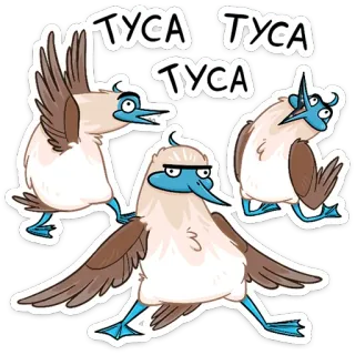 💃 ТУСА ТУСА ТУСА птица, олуша, голубоногая олуша, танец, вечеринка, мультфильм telegram sticker