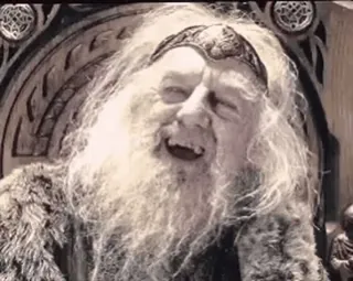 🤣 Dumbledore Harry Potter tovenaar, magie, oud, baard, fantasie telegram sticker