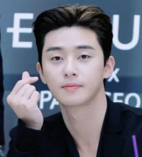 💗 Park Seo-joon aktor, korea, pria, penyanyi, penghibur, korea selatan telegram sticker