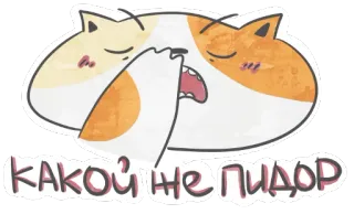😞 КАКОЙ ЖЕ ПИДОР แมว, รัสเซีย, คำหยาบ, หยาบคาย, สัตว์ telegram sticker