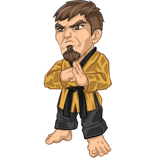 👱‍♂️ võ thuật, karate, tư thế, võ sĩ telegram sticker