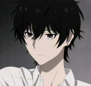 🕳 Anime, Chico anime, Pelo negro, Dibujo animado, Personaje, Manga, Retrato whatsapp sticker