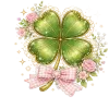 🍀