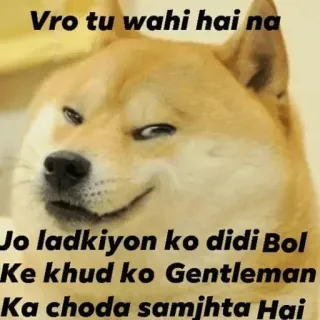 🙂 Doge Doge Meme Vro tu wahi hai na Jo ladkiyon ko didi Bol Ke khud ko Gentleman Ka choda samajhta Hai doge, meme, funny, sarcastic, gentleman, social, hindi meme telegram sticker
