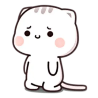 💬 cat, sticker, cute, animal, kitten telegram sticker
