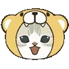 🐻