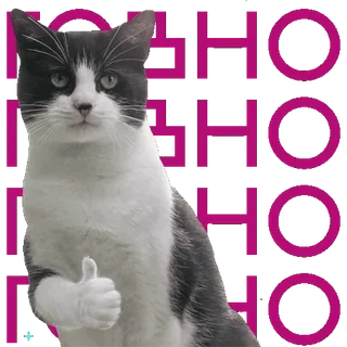 👍 HOHOHO cat, hohoho, animal, funny, thumb up, meme telegram sticker
