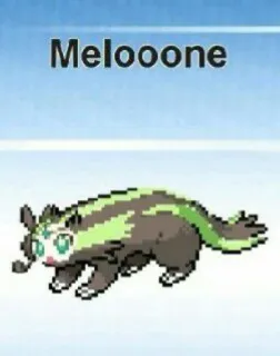 🆘 Meloone stiker, kartun, meloone, binatang telegram sticker