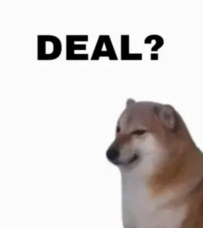 🤔 DEAL? 도지, 개, 밈, 거래, 합의, 시바견 telegram sticker