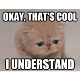Funny Cats whatsapp stickers