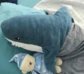 😴 Bedtime bear shark, bear, pillow, bedtime, toy, cute, plush whatsapp sticker