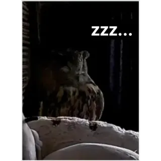 😴 zzz... owl, sleeping, tired, night, birds, funny, animals, sleepy telegram sticker