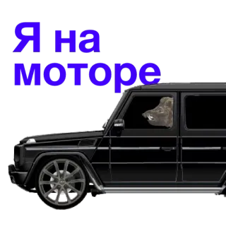 🚙 Я на моторе coche, perro, conducción, lujo, vehículo telegram sticker