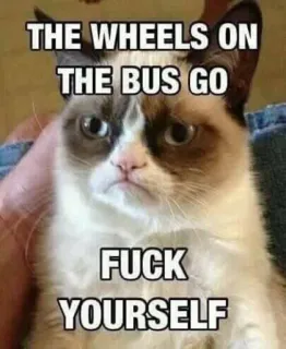 🚌 Grumpy Cat THE WHEELS ON THE BUS GO
FUCK YOURSELF 猫, 表情包, 冒犯, 幽默, 暴躁, 讽刺, 公共汽车轮子 whatsapp sticker