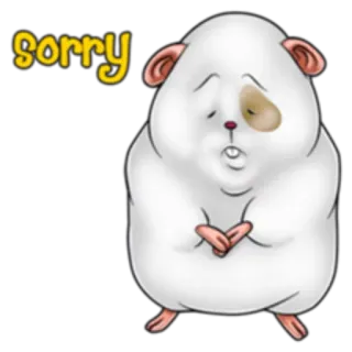 😞 sorry sorry, hamster, cute, apology, regret, guinea pig telegram sticker