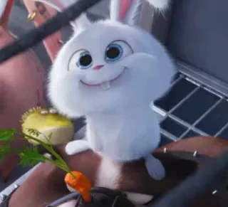 🐰 Snowball The Secret Life of Pets conejo, conejo, animal, mascota, dibujo animado, lindo whatsapp sticker