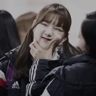 🌿 whatsapp sticker