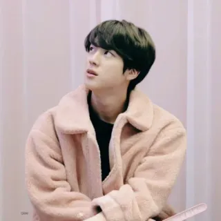🐹 Jin người đàn ông, kpop, idol, ca sĩ, Hàn Quốc telegram sticker
