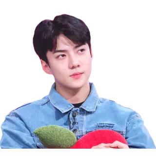 🙄 Sehun kpop, chanteur, exo, célébrité, sehun telegram sticker