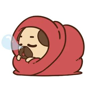 😪 ปั๊ก, หมา, น่ารัก, ผ้าห่ม, นอนหลับ, สัตว์, การ์ตูน, อบอุ่น whatsapp sticker