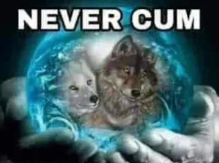 🙏 NEVER CUM loups, animal, offensant, nsfw telegram sticker