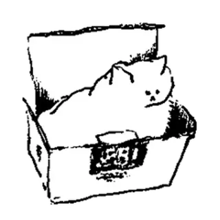 🤍 кот, коробка, животное, домашнее животное, милый, кошачий, рисунок telegram sticker
