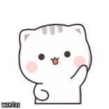🍼 wontor gato, lindo, sticker, dibujo animado, animal, adorable telegram sticker
