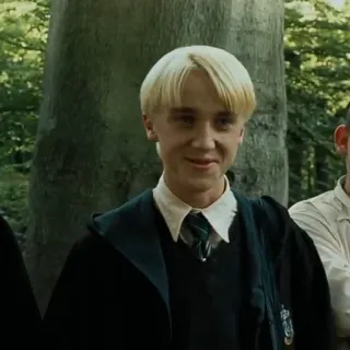 🐍 Draco Malfoy Harry Potter Draco Malfoy, Harry Potter, Slytherin, mago, magia whatsapp sticker