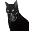 🐈‍⬛