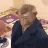 😎