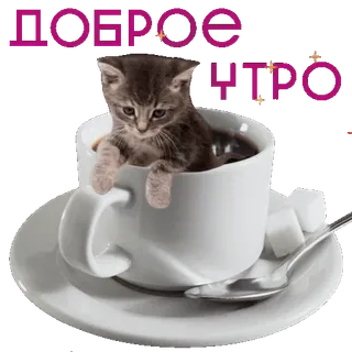 😊 ДОБРОЕ УТРО cat, good morning, coffee, cup, kitten, cute, sugar telegram sticker