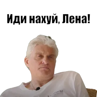 🖕 Иди нахуй, Лена! ofensif, rusia, meme, penghinaan telegram sticker
