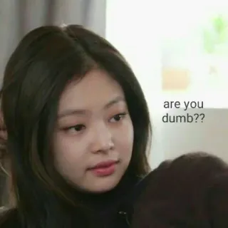 🎗 are you dumb?? 밈, 제니, 바보야? whatsapp sticker