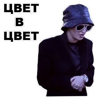 👍 ЦВЕТ В ЦВЕТ whatsapp sticker