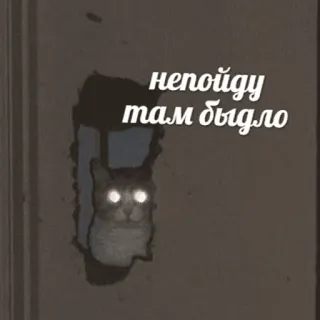 ❌ непойду там было cat, meme, russian, humor, animal, hole, scared telegram sticker