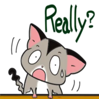 😳 Really? Gleitbeutler, süß, Cartoon, Tier, Frage, Gesichtsausdruck, lustig telegram sticker