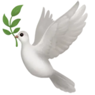 🕊 dove, peace, olive branch, bird, white, symbol, hope telegram sticker