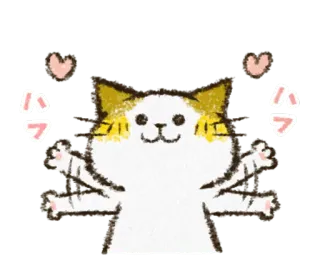 ❤️ ハフ kot, naklejka, zwierzę, słodki, serce telegram sticker
