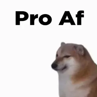 🎭 Pro Af doge, 개, 밈, 프로, af telegram sticker
