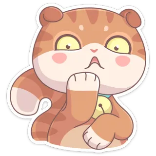 😳 кот, стикер, животное, милый, мультфильм, питомец telegram sticker