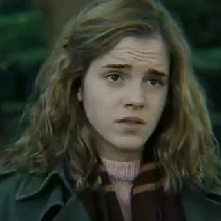🐿 Hermione Granger Harry Potter Hermelien, Harry Potter, Emma Watson, heks, tovenaar, boeken, films telegram sticker