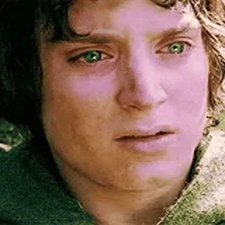 😬 Frodo Baggins Lord of the Rings frodo, baggins, lord of the rings, genootschap telegram sticker