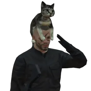 🐈 chat, militaire, salut, soldat, animal telegram sticker