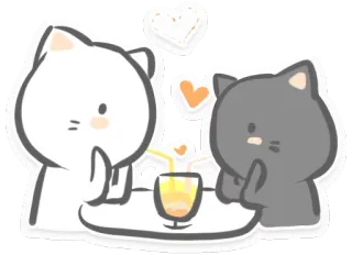 🍹 koty, słodkie, miłość, zwierzę, kawaii, napój telegram sticker
