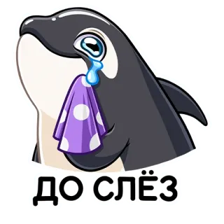 😢 ДО СЛЁЗ 범고래, 고래, 울음, 슬픔, 눈물, 물방울 telegram sticker